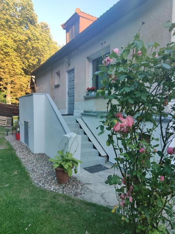 Przytulny Pokoj W Zacisznej Okolicy Z Lazienka Wspolna Dla Dwoch Pokoi Sopot Bagian luar foto